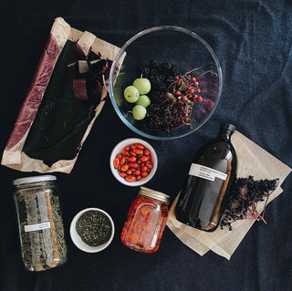 Autumn herbal wildcrafting