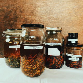 Home Herbalism 101: A hands on home medicine making workshop