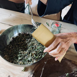 Home Herbalism 101: A hands on home medicine making workshop