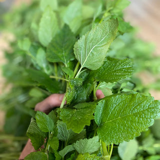 Nervines: Calming herbs for anxious times