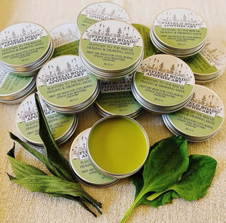Plantain to the Rescue healing and drawing salve