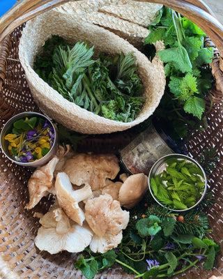 Foraging walks at Bruern Farm, Chipping Norton