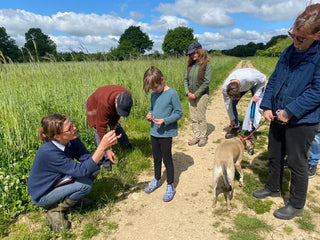 Foraging walks at Bruern Farm, Chipping Norton