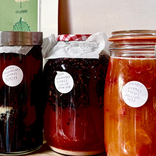 Let's Make Fire Cider...and other witchy kitchen remedies for winter