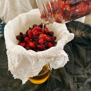 Autumn herbal wildcrafting